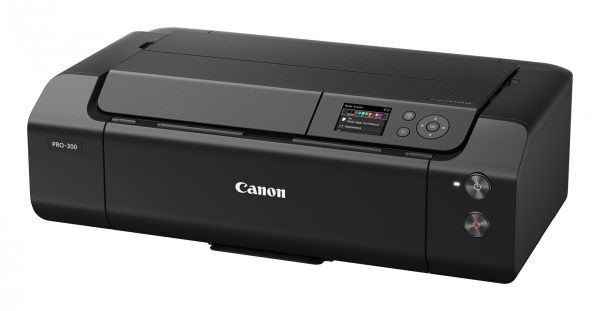 Canon imagePROGRAF PRO-300 stampante per foto 4800 x 2400 DPI 13" x 19" (33x48 cm) Wi-Fi - immagine 3